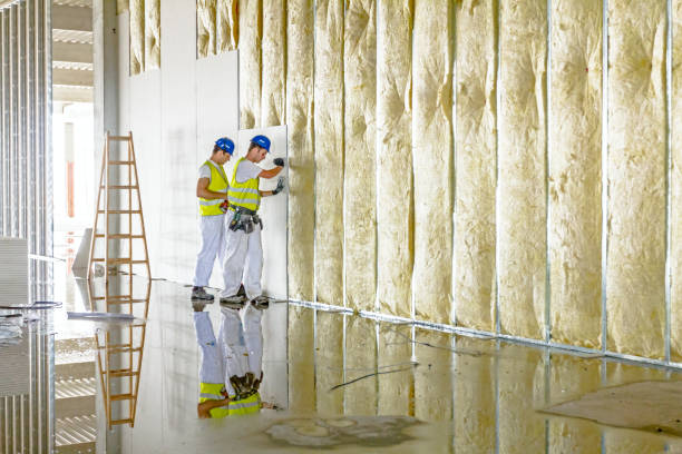 Best Geographic-Specific Insulation Services in Hanford, CA